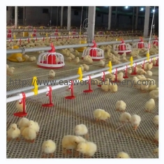 Chicken Coop Automatic Poultry Farm Equipment With Ventilation System